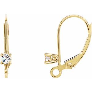 Accented Lever Back Earring Top