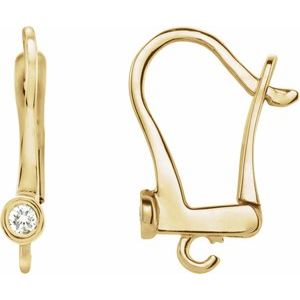 Accented Lever Back Earring Top